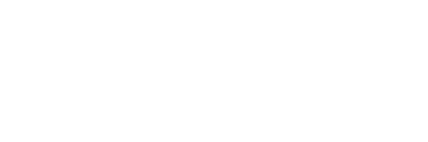 Microsoft Partner Logo